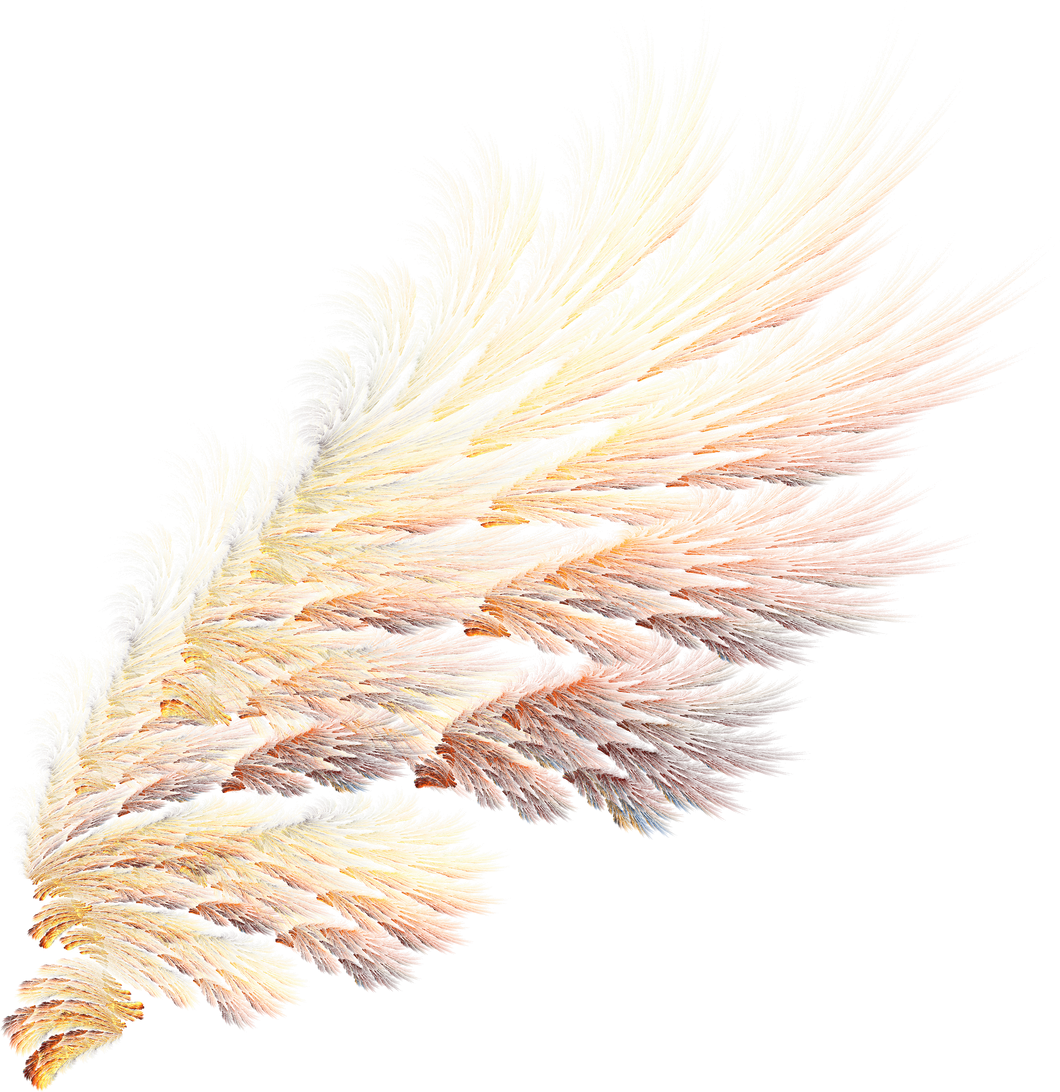 Abstract golden bird wings illustration